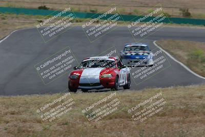 media/May-04-2024-Lucky Dog Racing (Sat) [[d39539b3f3]]/Race Pics/1015am (Turn 2)/